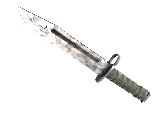 ★ StatTrak™ Bayonet | Stained (Factory New)