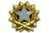 2017 Service Medal