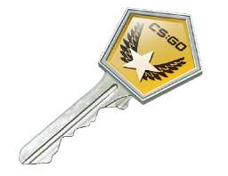 Winter Offensive Case Key