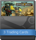 Warhammer 40,000: Space Wolf Booster-Pack
