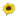 :FMsunflower: Chat Preview