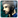 :Pitter8: Chat Preview
