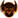 :cancer_dyl: Chat Preview