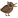 :canyonbird: Chat Preview