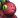 :diretoad: Chat Preview