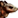 :mechmouse: Chat Preview