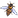 :season_bee: Chat Preview