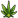 weed