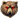 :wldBear: Chat Preview