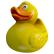 :Quack_Quack_Boom:
