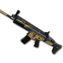 Year One - SCAR-L