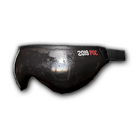 PGC 2019 Goggles