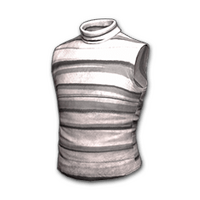 Sleeveless Turtleneck (Gray Striped)