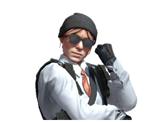 Агенты CS:GO/CS2 — Все скины на CS.MONEY Wiki