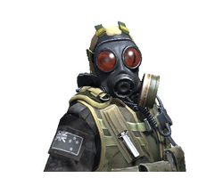 D Squadron Officer | NZSAS