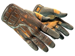★ Sport Gloves | Big Game
