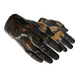 ★ Sport Gloves | Big Game (Battle-Scarred)