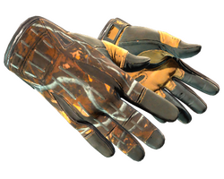★ Sport Gloves | Big Game