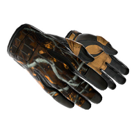 ★ Sport Gloves | Big Game (Minimal Wear)
