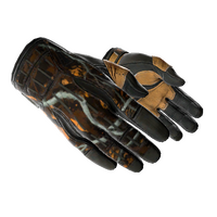 ★ Sport Gloves | Big Game (Well-Worn)