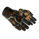 ★ Sport Gloves | Big Game (Field-Tested)