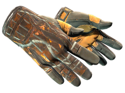 ★ Sport Gloves | Big Game