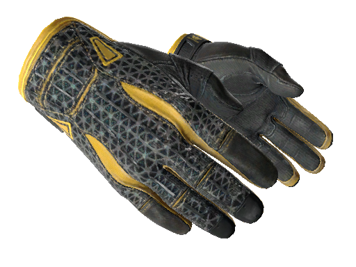 ★ Sport Gloves | Omega (Well-Worn)