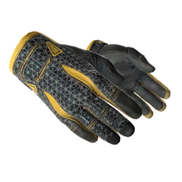 ★ Sport Gloves | Omega (Well-Worn)