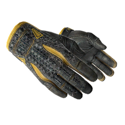 ★ Sport Gloves | Omega (Battle-Scarred)