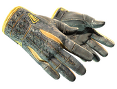 ★ Sport Gloves | Omega (Battle-Scarred)