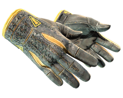 ★ Sport Gloves | Omega