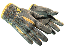 ★ Sport Gloves | Omega