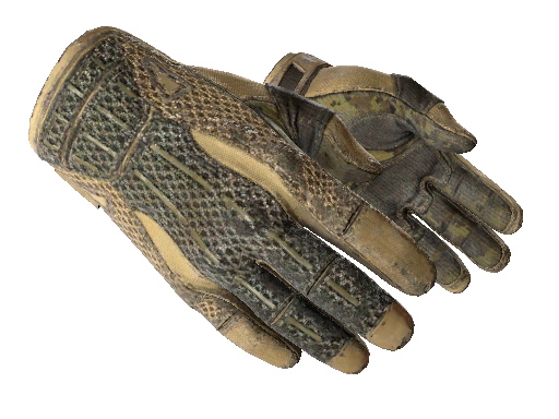 ★ Sport Gloves | Arid (Battle-Scarred)