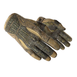 Gloves - Free CS GO Skins - CSGOPoints.com