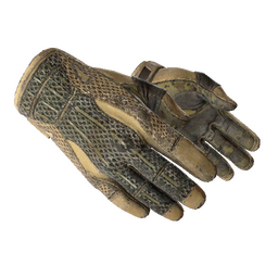 free cs2 skins ★ Sport Gloves | Arid (Battle-Scarred)