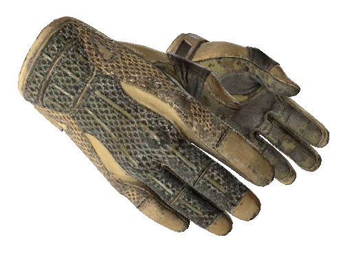 ★ Sport Gloves | Arid