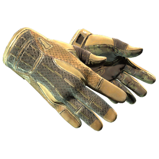 ★ Sport Gloves | Arid (Well-Worn)