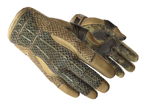 ★ Sport Gloves | Arid (Well-Worn)