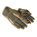 ★ Sport Gloves | Arid (Well-Worn)