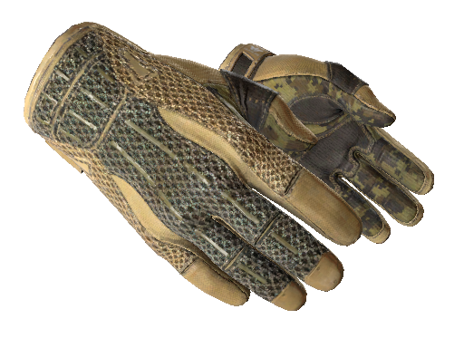 Sport Gloves | Arid