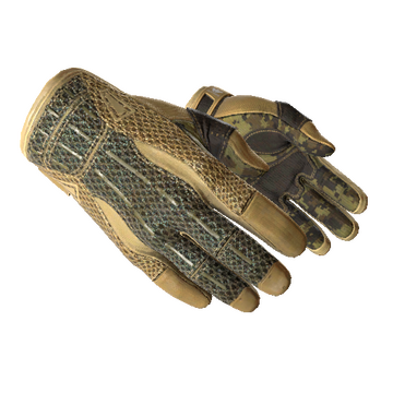 ★ Sport Gloves | Arid (Minimal Wear)