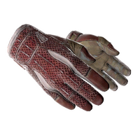 ★ Sport Gloves | Slingshot (Field-Tested)