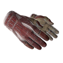 ★ Sport Gloves | Slingshot (Field-Tested)
