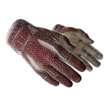 ★ Sport Gloves | Slingshot (Field-Tested)