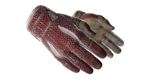 ★ Sport Gloves | Slingshot (Field-Tested)