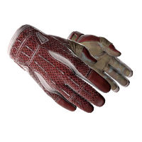 ★ Sport Gloves | Slingshot (Minimal Wear)