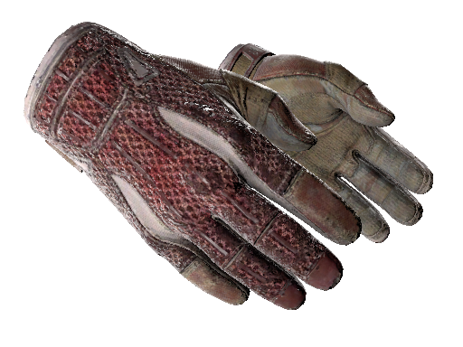 ★ Sport Gloves | Slingshot (Battle-Scarred)