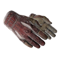 ★ Sport Gloves | Slingshot (Battle-Scarred)