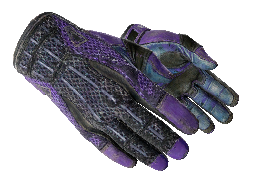 Sport Gloves | Pandora's Box