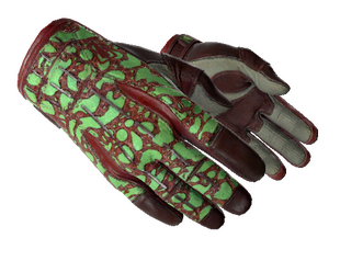 ★ Sport Gloves | Bronze Morph